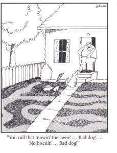 Dog mowing lawn cartoon