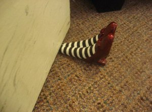 22356_1237931432935_1251781_n