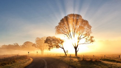 sunrise-morning-mist-wearandcheer.com_-1024x576