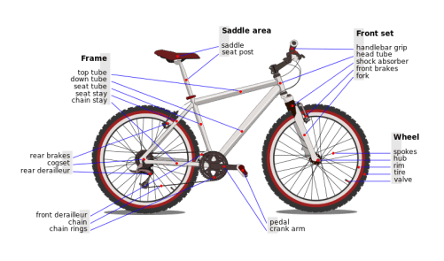 The parts of the bicycle that need to be learned for the Cycling honor.