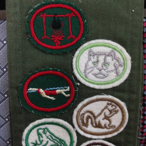 I think these badges represent Camp Crafts, Cats, Intermediate Swimming, Mammals, and Amphibians.